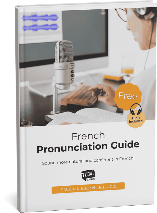 French Guide Book Cover