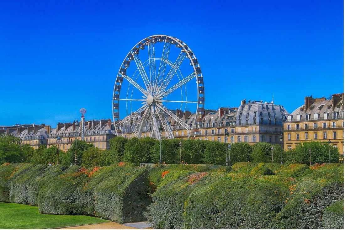 12 Fun Spots to Go in Paris Tumu Learning