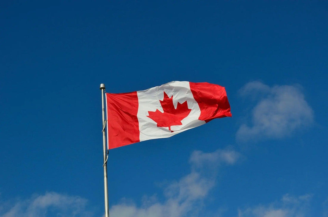 5 Surprising Reasons Why I Love Canada Tumu Learning