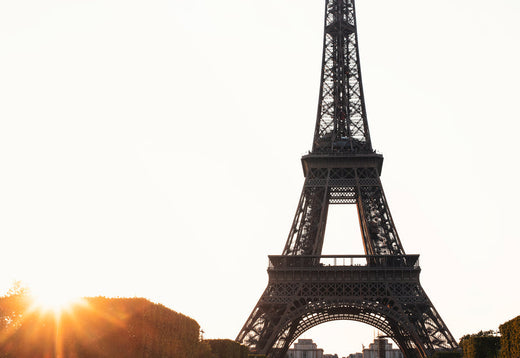 A breathtaking view of the Eiffel Tower at sunrise- Tumu Learning